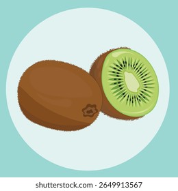 Kiwi fruits with slice piece vector illustration. Kiwi vector.