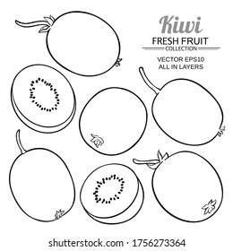 kiwi fruits vector set on white background