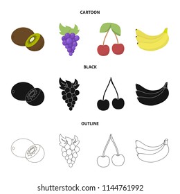 Kiwi, grapes, cherry, banana.Fruits set collection icons in cartoon,black,outline style vector symbol stock illustration web.