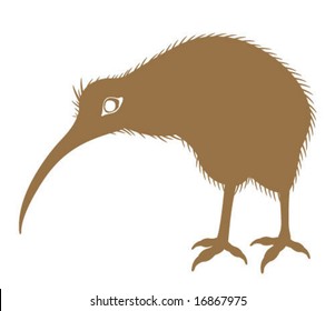Kiwi hairy Bird