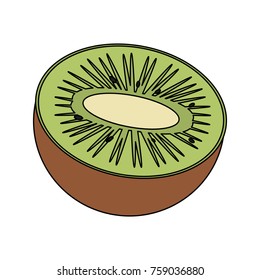 Kiwi in half fruit