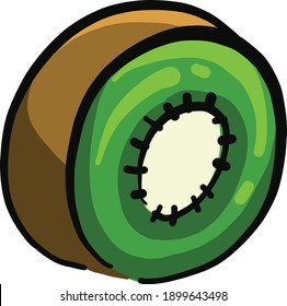 Kiwi in half, illustration, vector on a white background.