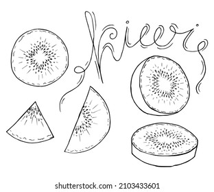 Kiwi hand drawn collection by ink and pen sketch. Doodle kiwi fruit. Isolated vector design for fruit and vegetable products and health care goods.
