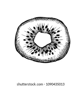 Kiwi. Hand drawn fruit isolated on white. Can be used for vegan products, brochures, banner, restaurant menu, farmers market and organic food store