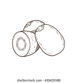 Kiwi hand drawn illustration