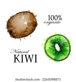 Kiwi, hand drawn sketch linen watercolor vector illustration on white background.