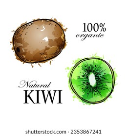 Kiwi, hand drawn sketch linen watercolor vector illustration on white background.