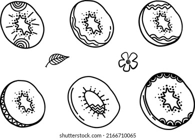 Kiwi hand drawn style with abstract lines ornaments set. Food eco template for menu, peach jam and juice label, tea banner, textile