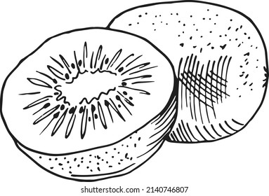 Kiwi con estilo dibujado a mano. Frutas enteras y de corte medio