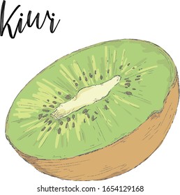 Kiwi Hand Drawn Vector Illustration