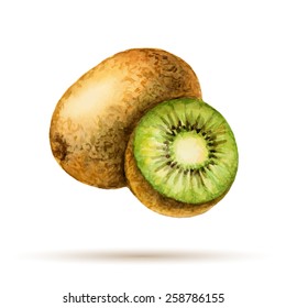 Kiwi  hand drawn watercolor, on a white background. Vector illustration.