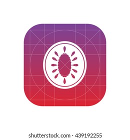 kiwi icon