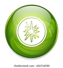 kiwi icon