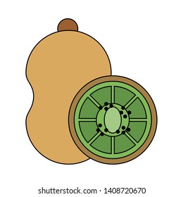 kiwi icon cartoon isolated vector illustration graphic design
