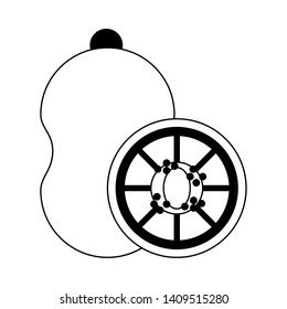 kiwi icon cartoon isolated vector illustration graphic design