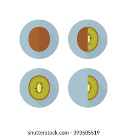 Kiwi icon, fruit set. Flat design with long shadow effect in stylish colors of web design objects, business, office and marketing items. Isolated on white background.