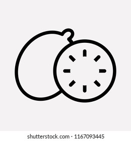 Kiwi icon line element. Vector illustration of kiwi icon line isolated on clean background for your web mobile app logo design.