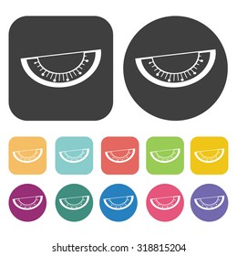 kiwi icon set. Vector Illustration eps10