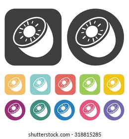kiwi icon set. Vector Illustration eps10
