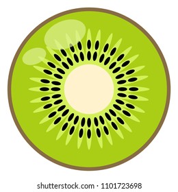 Kiwi Illustration - Kiwi half or cross section isolated on white background