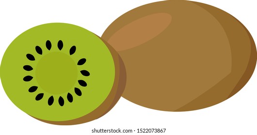 Kiwi, illustration, vector on white background.