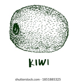 Kiwi ink drawing. Fruits. Grocery. Simple food illustration. Vector image. 