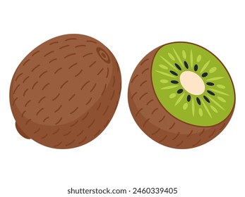 Kiwi isolated on white background. Bright vector illustration