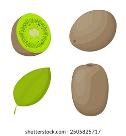 Kiwi isolated on a white background. Vector illustration, icon of fruits. Three kiwi fruits and green leaf in a hand-drawn style.	