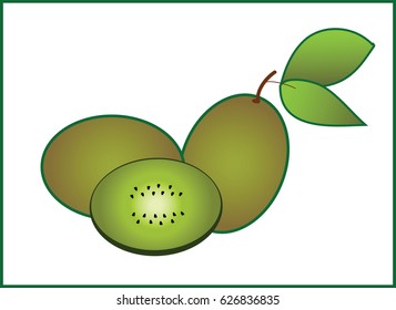 Kiwi isolated on white background, vector illustration