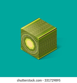kiwi - isometric