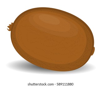 kiwi of juicy delicious and healthy ripe kiwi, isolated on white background