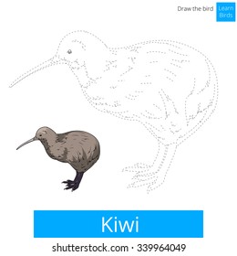 Kiwi Bird のイラスト素材 画像 ベクター画像 Shutterstock