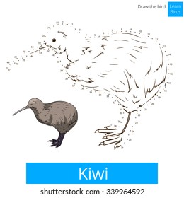 Kiwi learn birds educational game learn to draw vector illustration