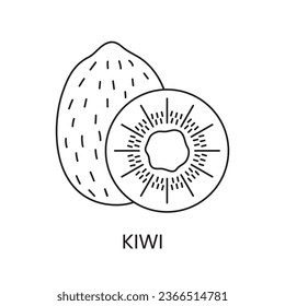 Kiwi line icon in vector, fruit illustration.