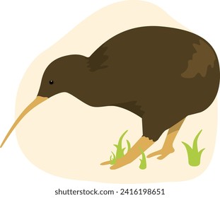 Kiwi Native Bird Aotearoa New Zealand Illustration Flightless Cute