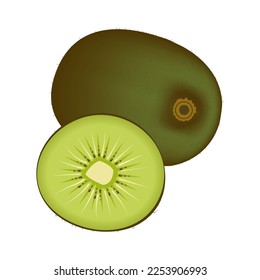 Kiwi on an isolated white background in the style of realism.