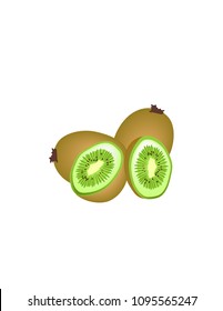 Kiwi on white background