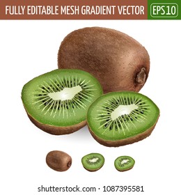 Kiwi on white background. Vector illustration