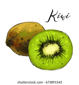 Kiwi on white background. Vector illustration