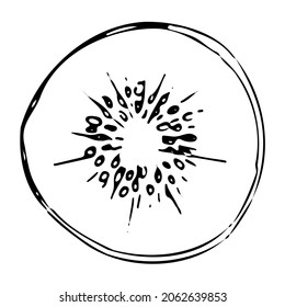 Kiwi outline, hand-drawn vector drawing of fruit