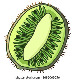 Kiwi piece on white isolated backdrop. Tropical fruit sticker for gift card, healthy food shop logo, bath tile, juice pack. Phone case or cloth print art. Hand drawn style stock vector illustration