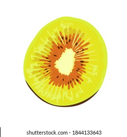 kiwi red vector stock close-up illustration. Green kiwi hybrid. Exotic fruit, tropical delicacy. Isolated on a white background.