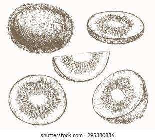 8,578 Kiwi sketch Images, Stock Photos & Vectors | Shutterstock