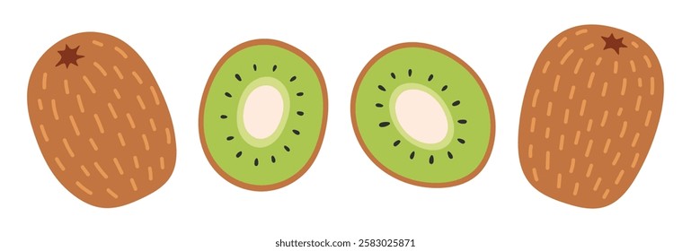 Kiwi set. Tropical fruits. Kiwi half, whole exotic fruit. Collection of organic vitamins and healthy nutrition. Flat Vector illustration isolated on white background