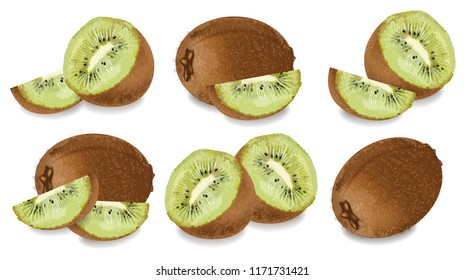 Kiwi set Vector realistic isolated on white backgrounds