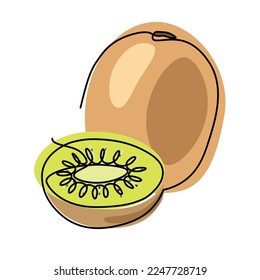 kiwi single line illustration, continuous line vector illustration , colored