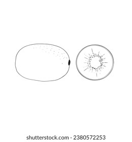 kiwi sketch of fruit drawn in vector, picture for decorating a fruit shop