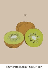 Kiwi , sketch vector.