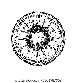 kiwi slice fruit hand drawn. green fresh, food juicy, healthy cut, sweet vegetarian, half freshness kiwi slice fruit vector sketch. isolated black illustration