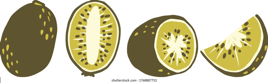 Kiwi, Kiwi Slice, Half Of Kiwi Vector Clipart Set Hand Drawn Childish Flat Style Isolated On White Background.